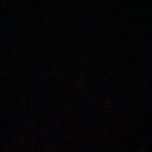 Meet your Posher, Sanya